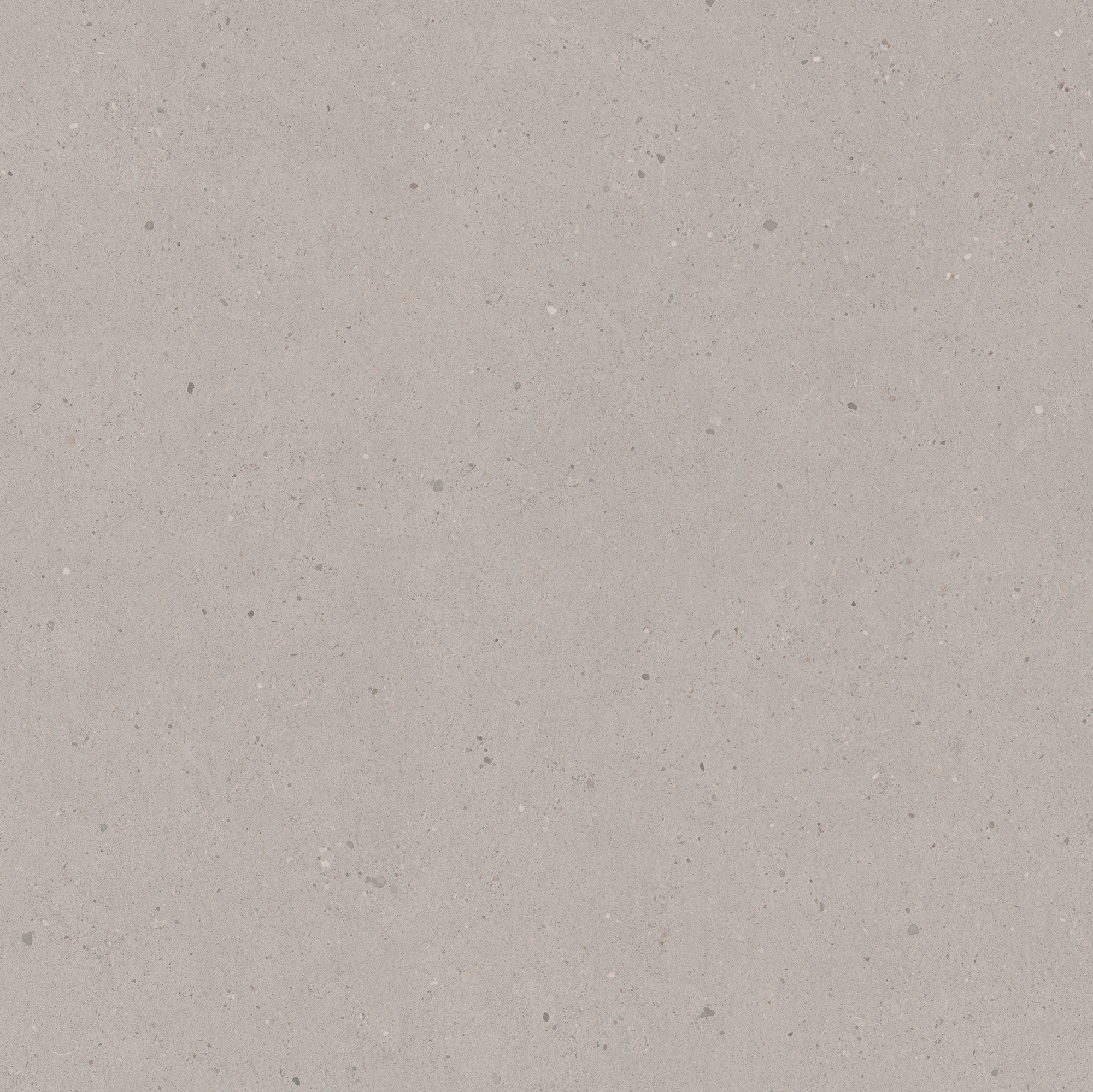 9036 Limed Siltstone