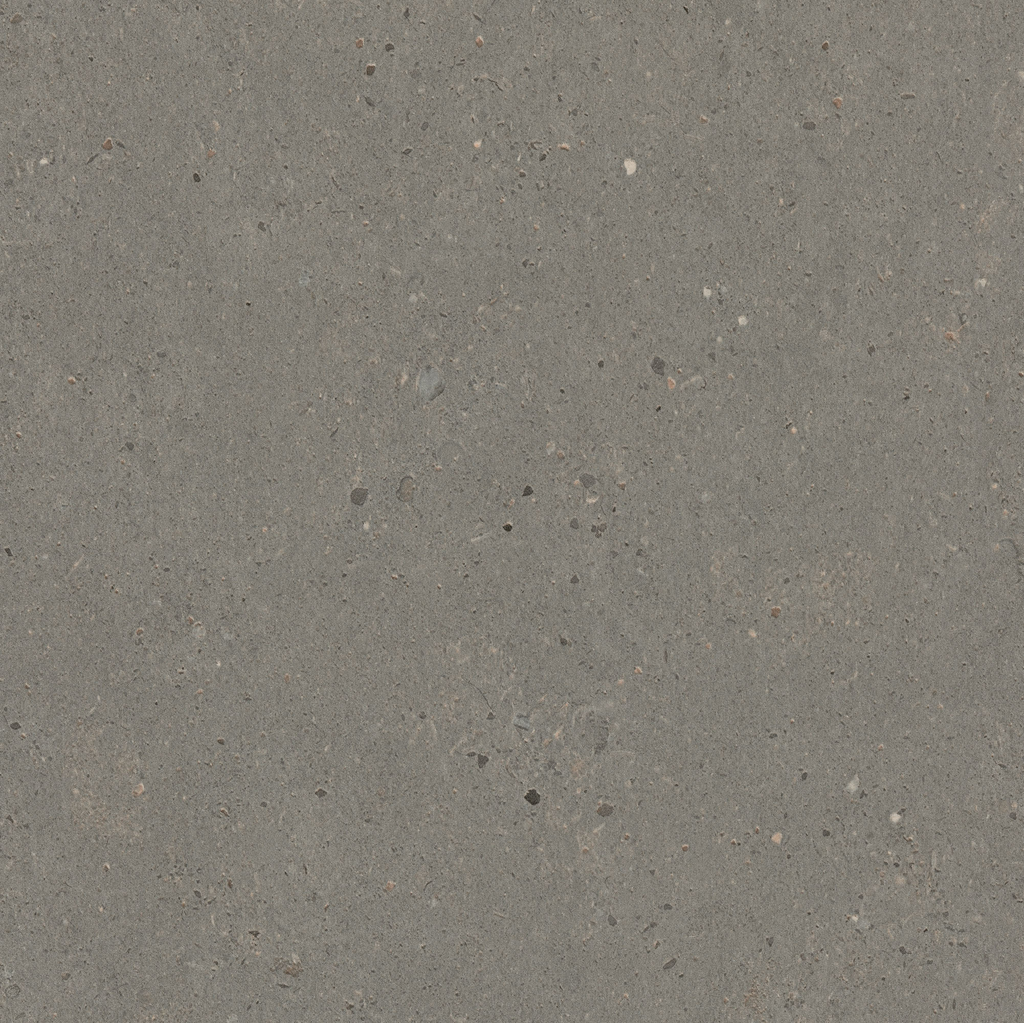 9037 Flint Siltstone