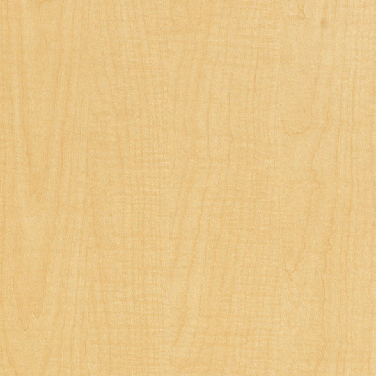 9237 Sand Maple