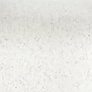 Silestone blanco orion